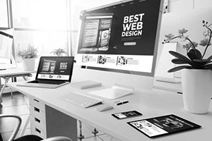 Webdesign (vanaf 595,00)