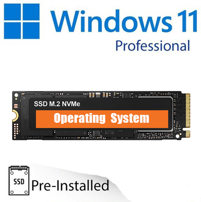 A-merk 1000GB (1TB) M.2 NVMe SSD + installatie Windows 11 Pro